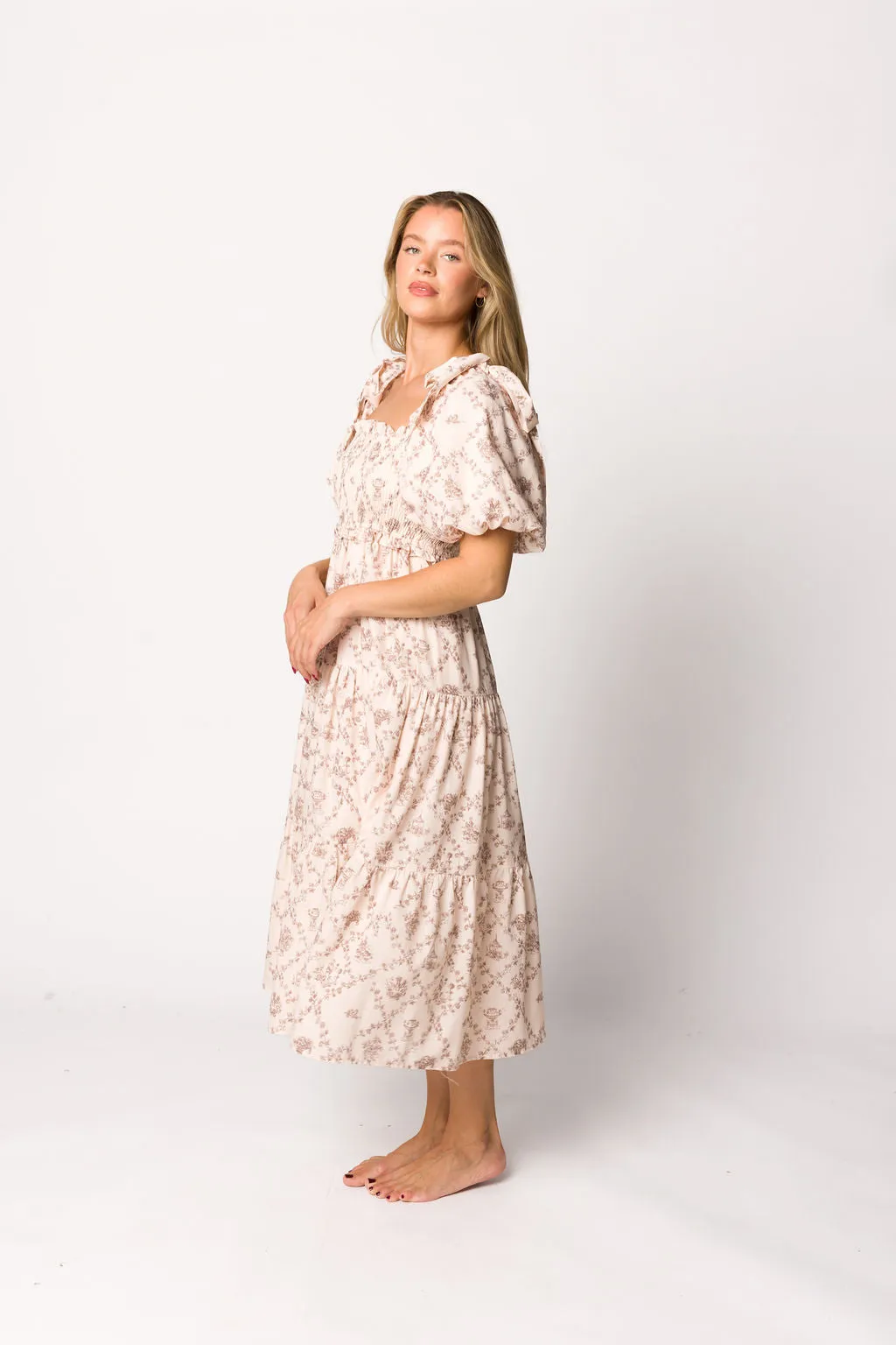 Elena Toile Print Midi Dress