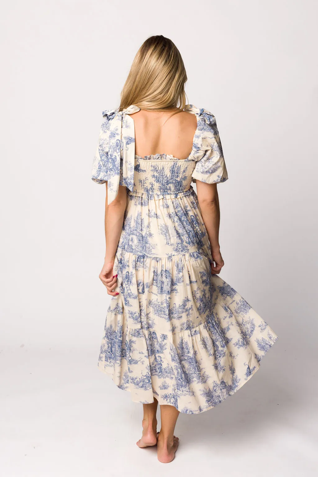 Elena Toile Print Midi Dress