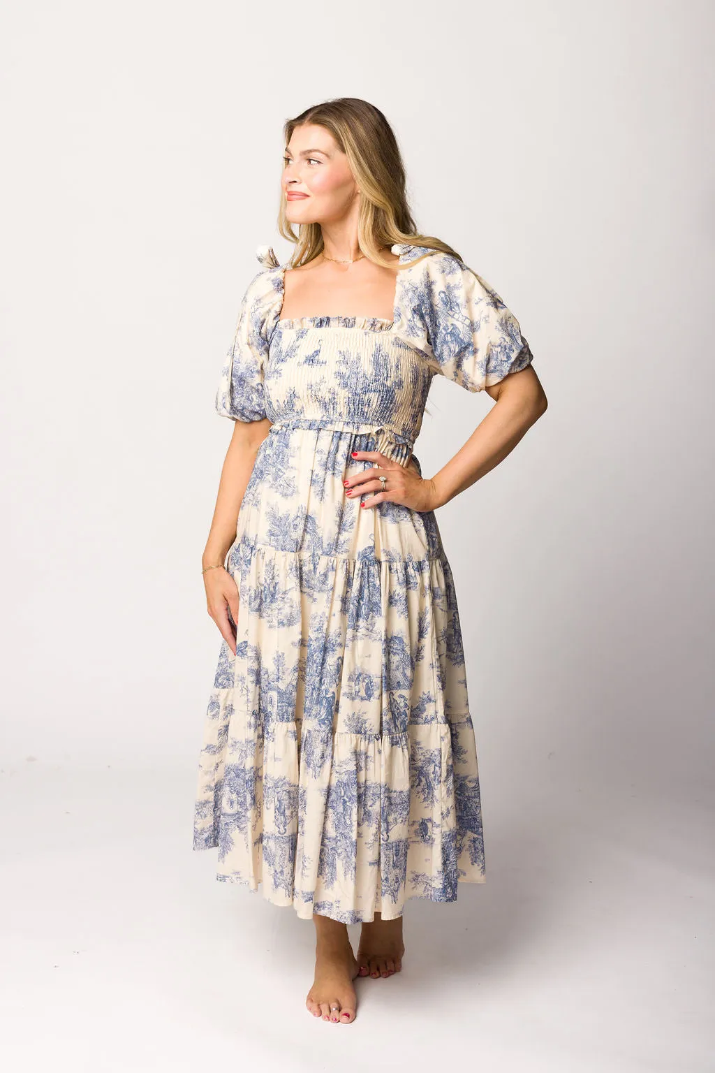 Elena Toile Print Midi Dress