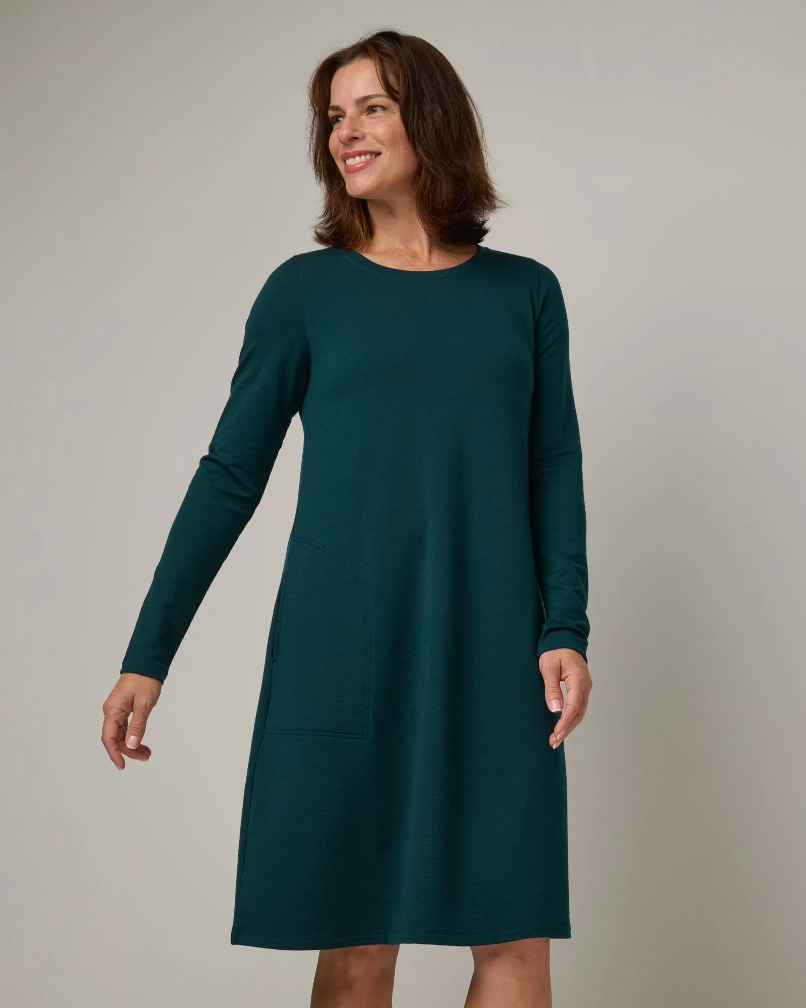 Eliza Swing Dress