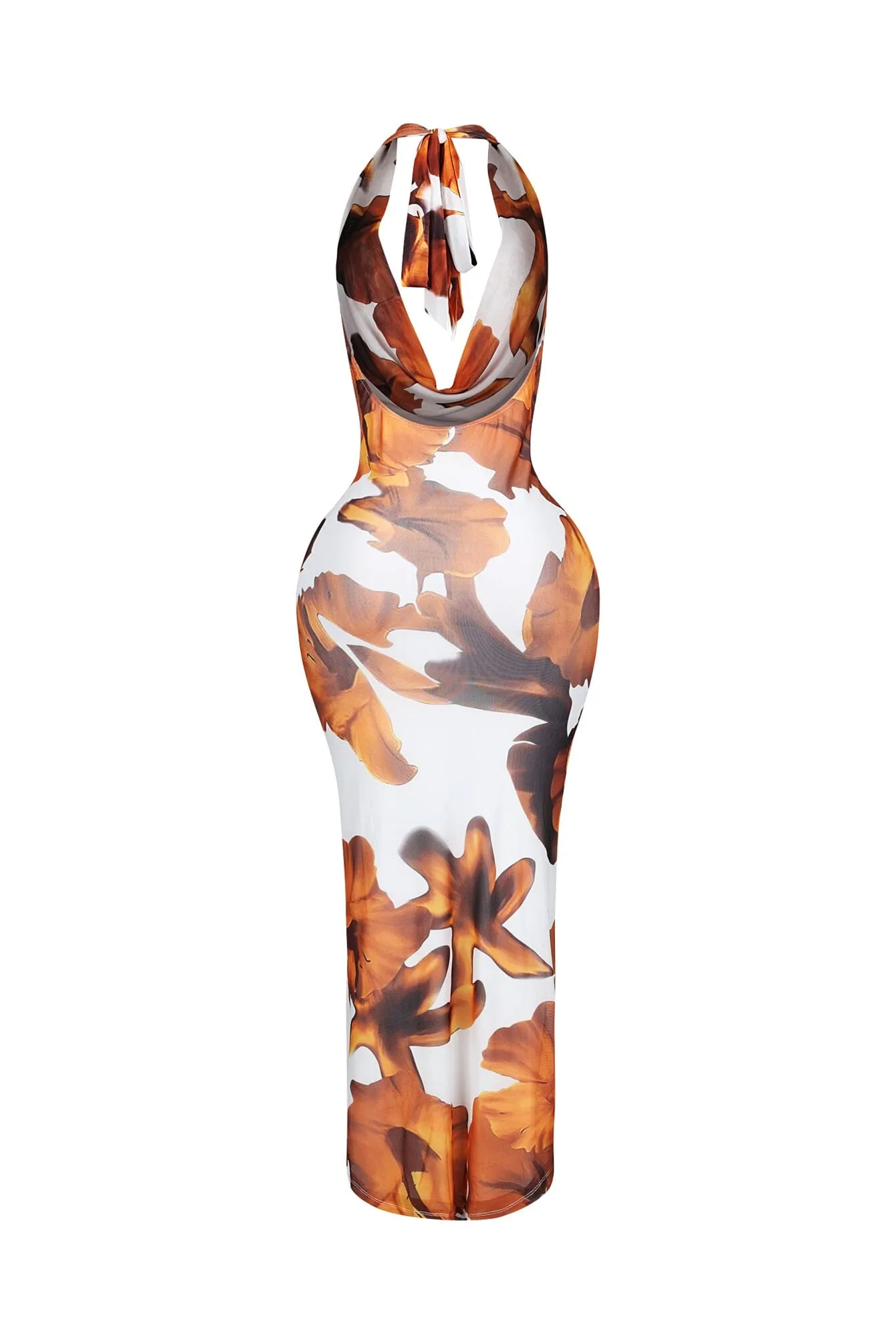 Sundaze Print Mesh Cowl Neck Maxi Dress