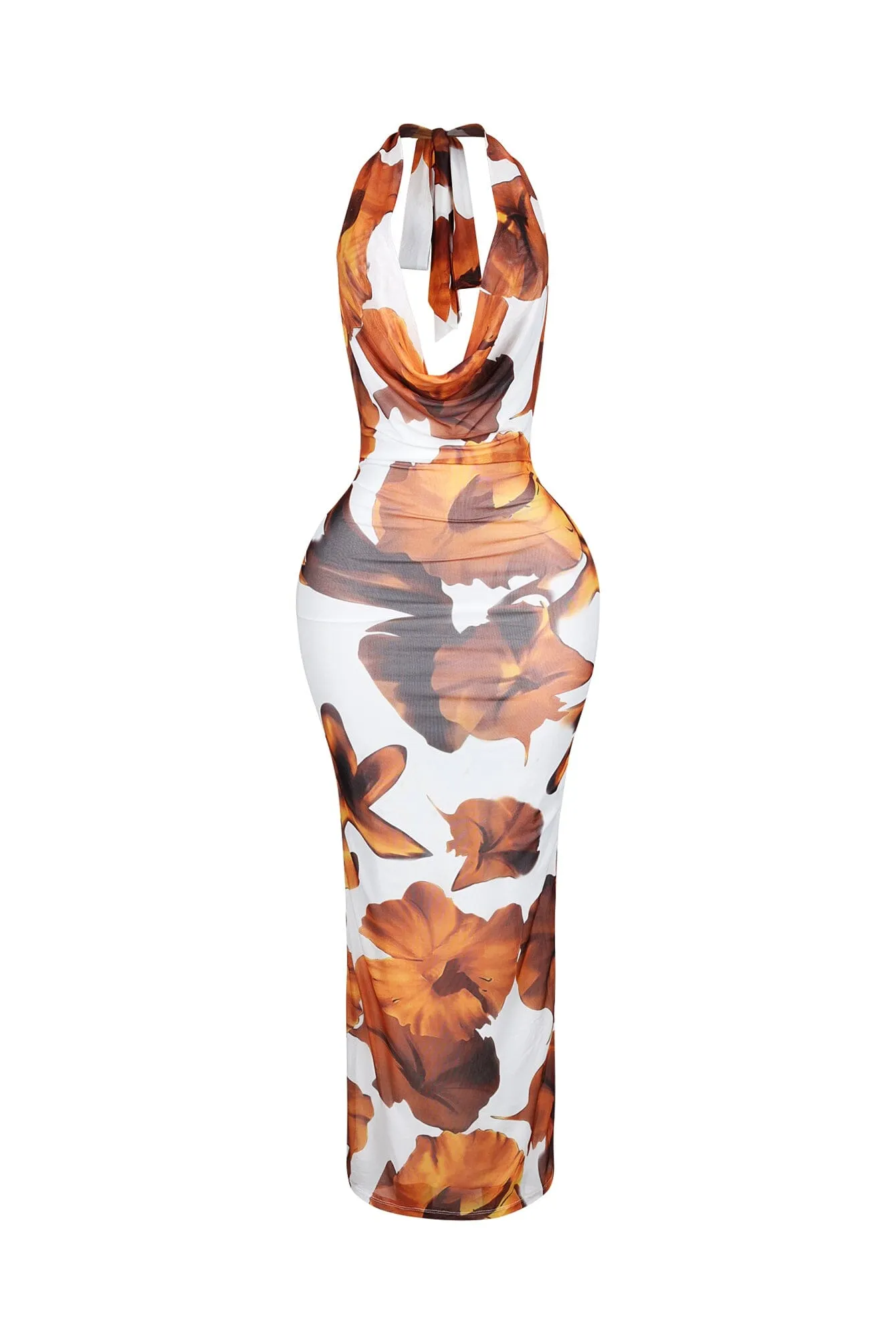 Sundaze Print Mesh Cowl Neck Maxi Dress