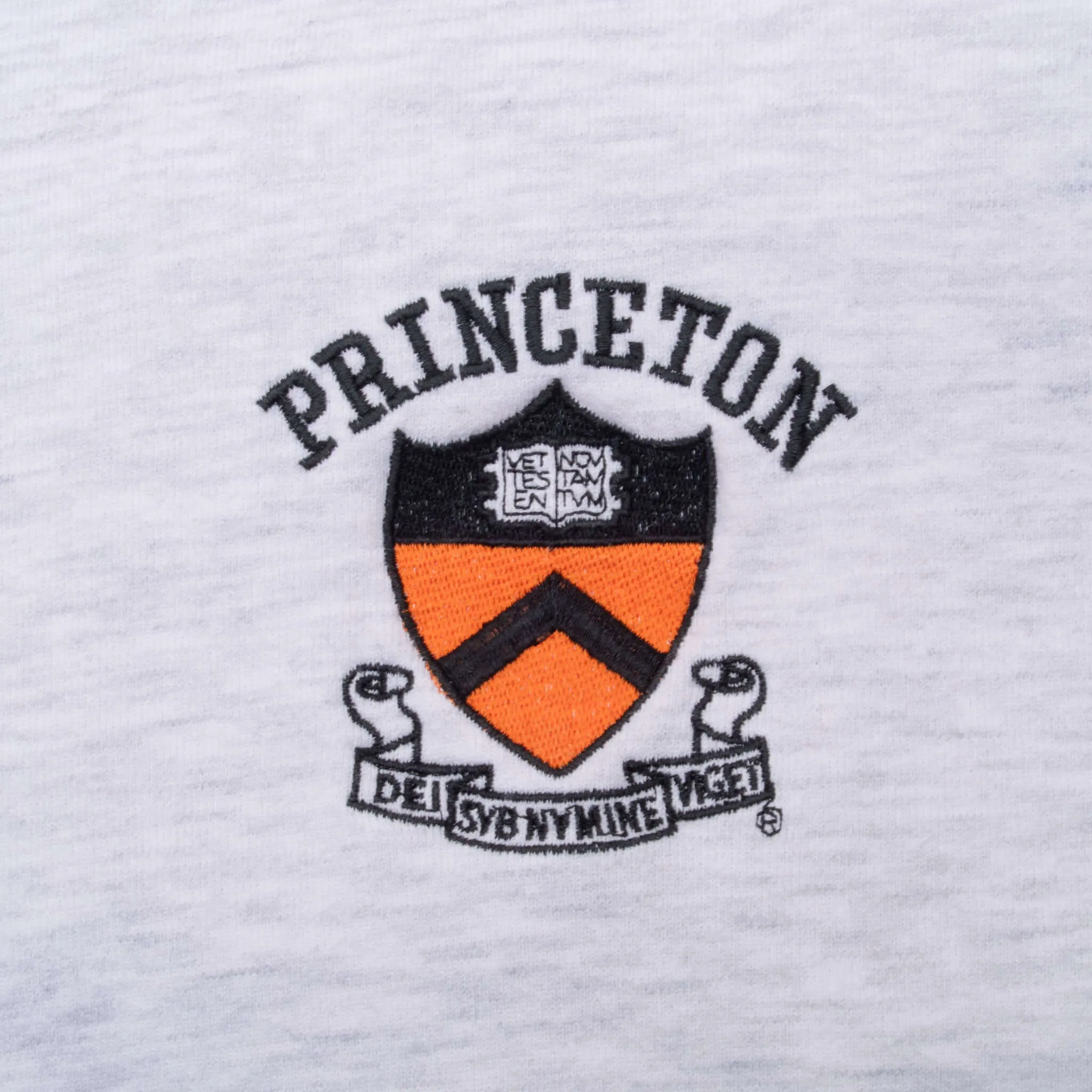 VINTAGE PRINCETON UNIVERSITY SWEATSHIRT 1990S LARGE MADE IN USA